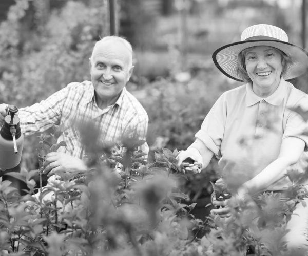 Portrait of happy senior couple posing, looking at camera, while working in family garden